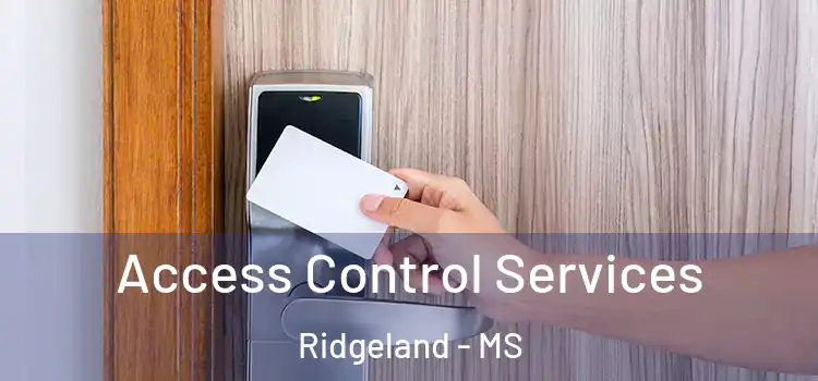 Access Control Services Ridgeland - MS