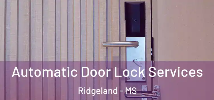 Automatic Door Lock Services Ridgeland - MS