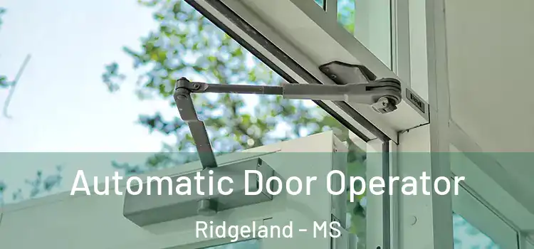 Automatic Door Operator Ridgeland - MS
