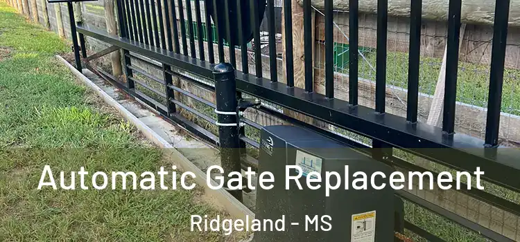 Automatic Gate Replacement Ridgeland - MS