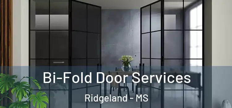 Bi-Fold Door Services Ridgeland - MS