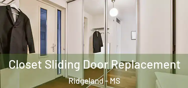Closet Sliding Door Replacement Ridgeland - MS