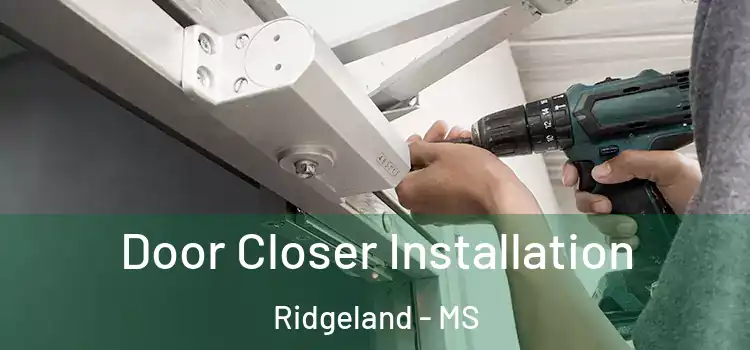 Door Closer Installation Ridgeland - MS