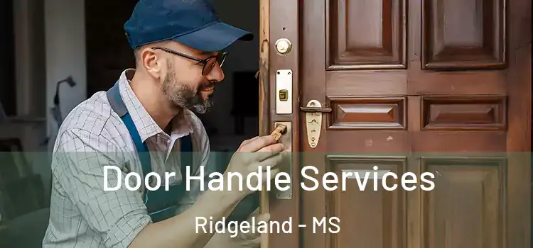 Door Handle Services Ridgeland - MS
