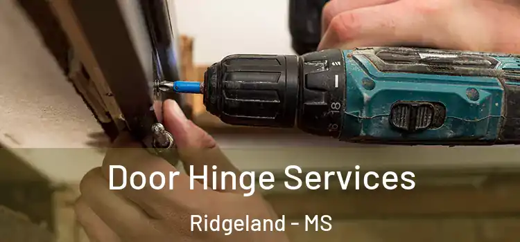 Door Hinge Services Ridgeland - MS