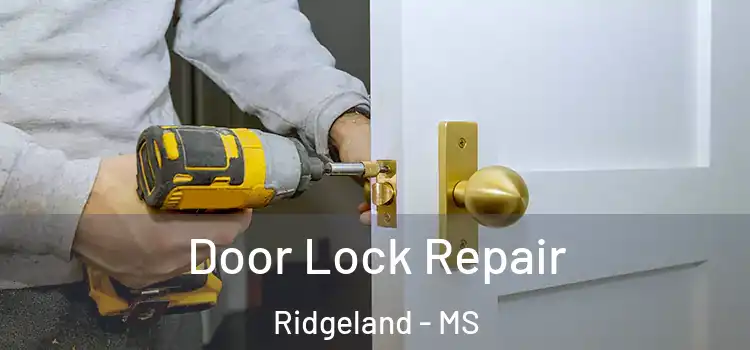 Door Lock Repair Ridgeland - MS