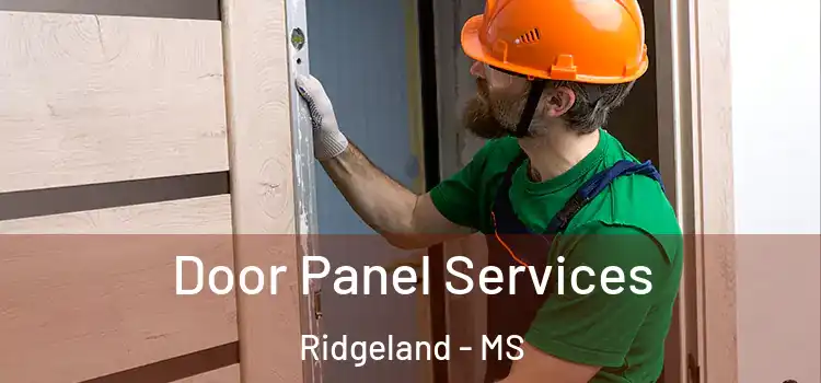 Door Panel Services Ridgeland - MS
