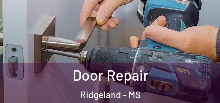 Door Repair Ridgeland - MS