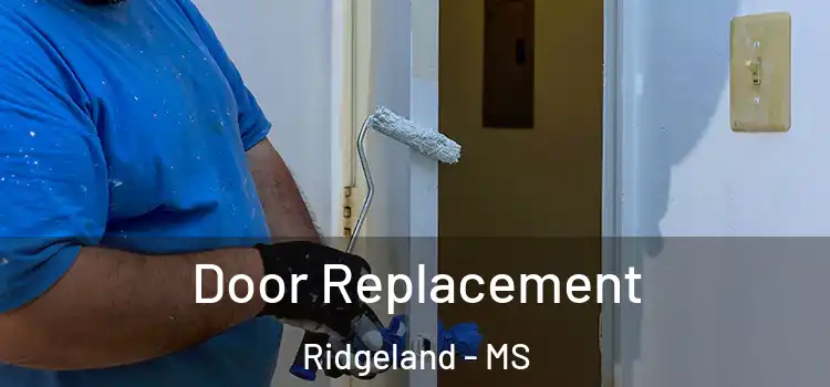 Door Replacement Ridgeland - MS