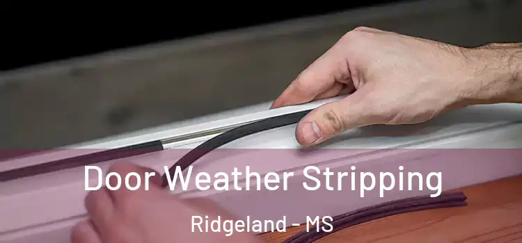 Door Weather Stripping Ridgeland - MS