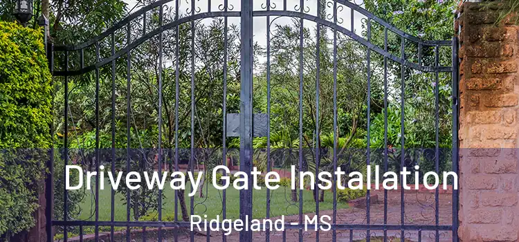 Driveway Gate Installation Ridgeland - MS