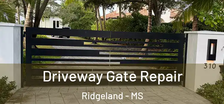Driveway Gate Repair Ridgeland - MS