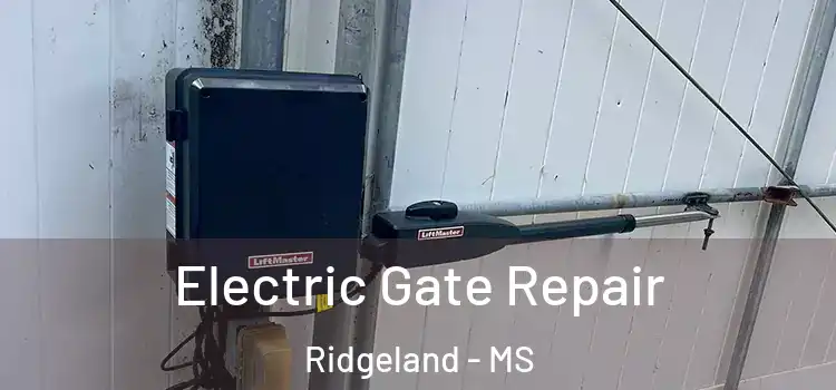Electric Gate Repair Ridgeland - MS