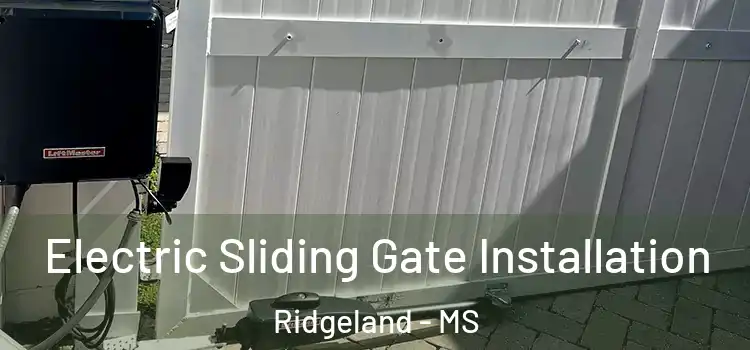 Electric Sliding Gate Installation Ridgeland - MS
