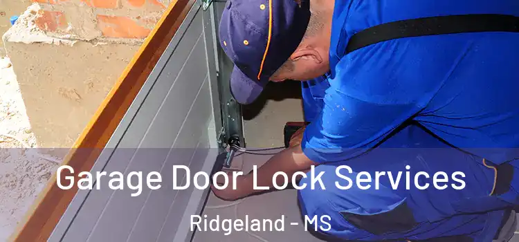 Garage Door Lock Services Ridgeland - MS