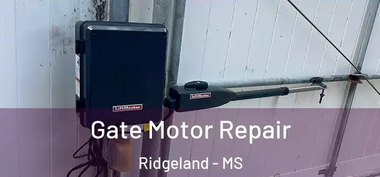 Gate Motor Repair Ridgeland - MS