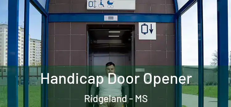 Handicap Door Opener Ridgeland - MS
