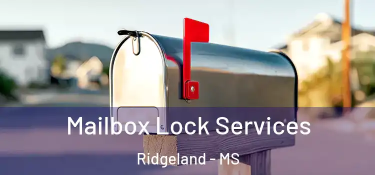 Mailbox Lock Services Ridgeland - MS