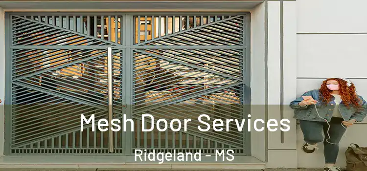 Mesh Door Services Ridgeland - MS