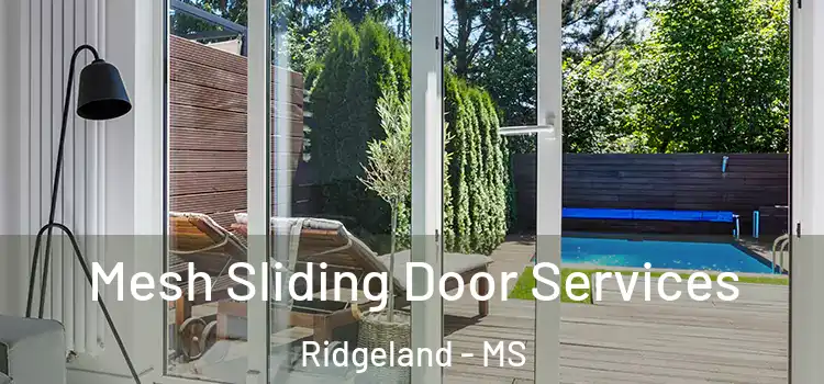 Mesh Sliding Door Services Ridgeland - MS