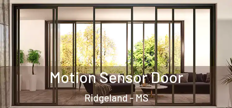 Motion Sensor Door Ridgeland - MS