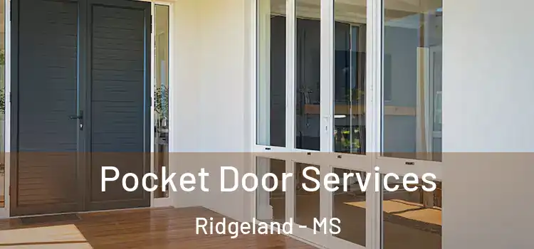 Pocket Door Services Ridgeland - MS