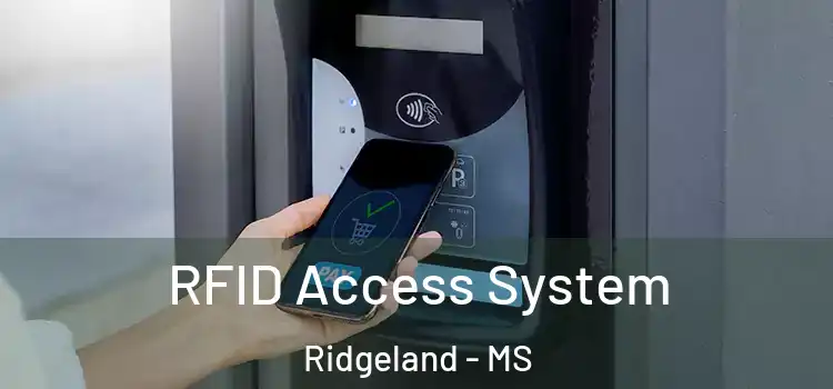RFID Access System Ridgeland - MS