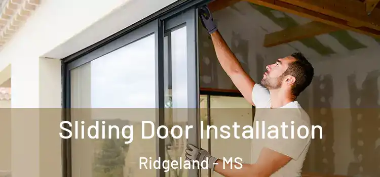 Sliding Door Installation Ridgeland - MS