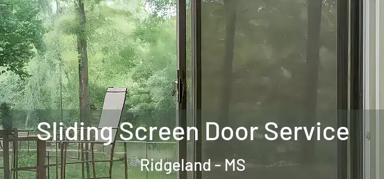 Sliding Screen Door Service Ridgeland - MS