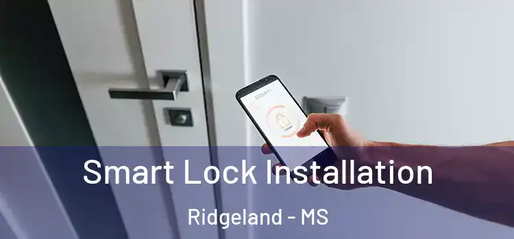 Smart Lock Installation Ridgeland - MS