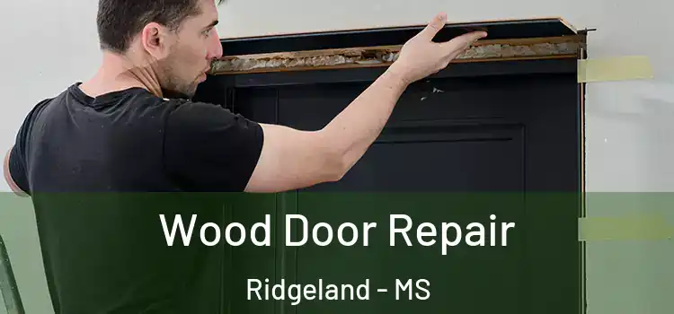 Wood Door Repair Ridgeland - MS